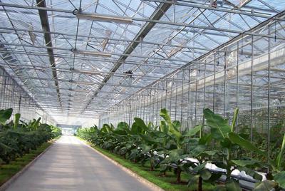 農業(yè)溫室智能監(jiān)控系統(tǒng)解決方案 農業(yè)溫室智能監(jiān)控系統(tǒng)解決方案