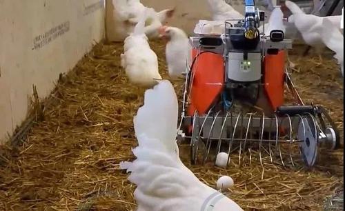 智慧養(yǎng)殖解決方案 智慧養(yǎng)殖解決方案