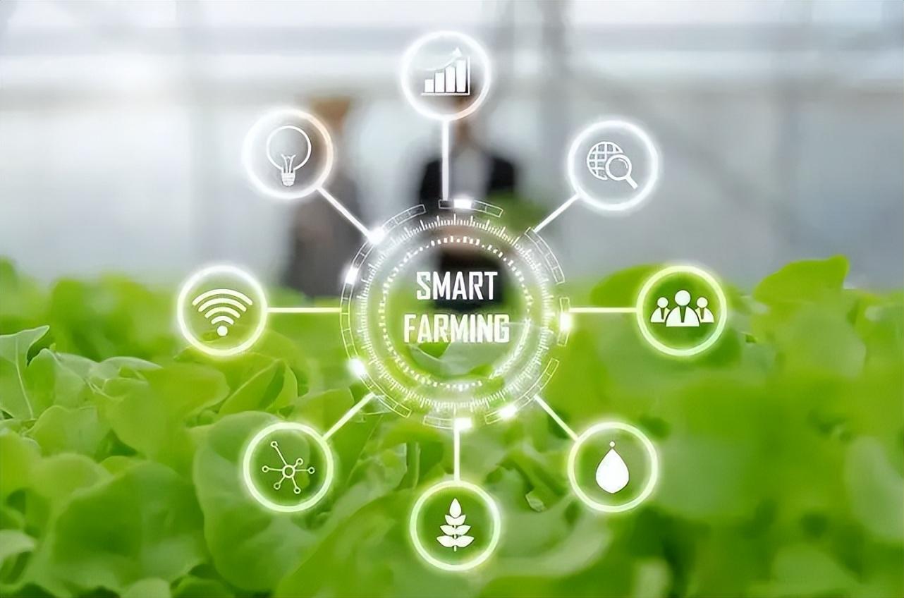 智慧農(nóng)業(yè)物聯(lián)網(wǎng)的未來(lái)在哪里？